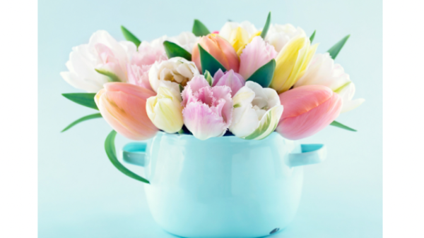 おはようございます☀