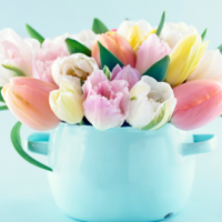 おはようございます☀