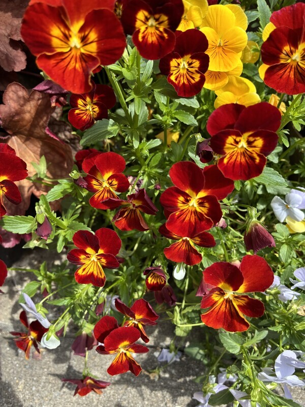 おはようございます🥰