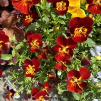 おはようございます🥰