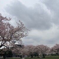 もうすぐ到着です🚃