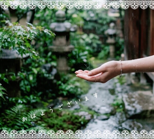 おはようございます！