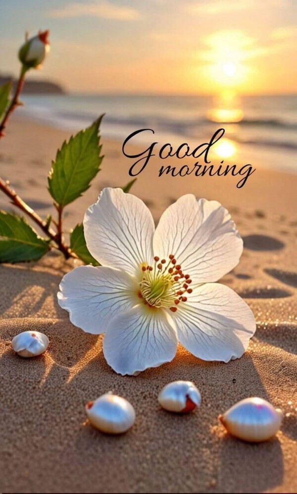 おはようございます