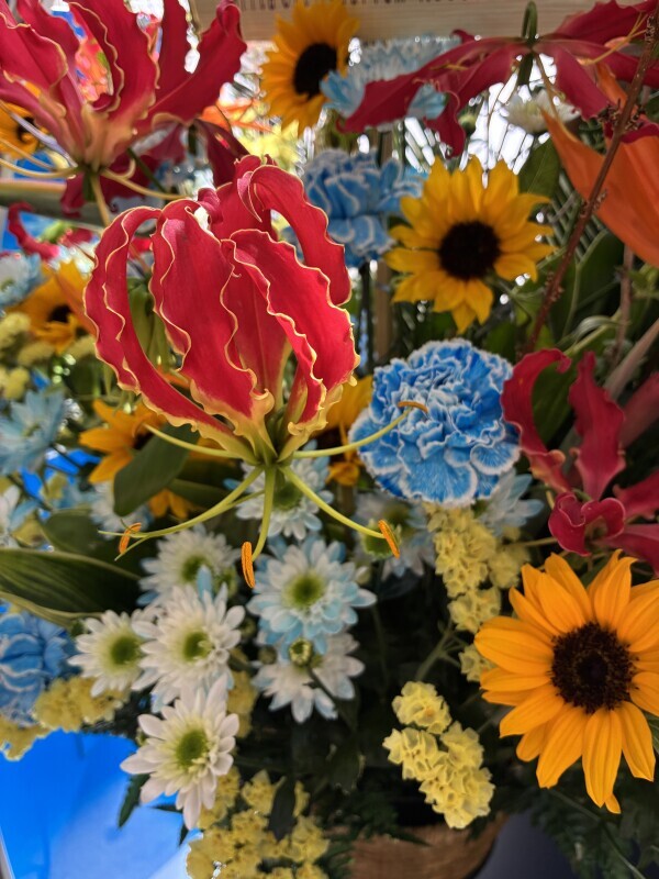 おはようございます♡