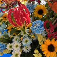 おはようございます♡