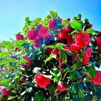 おはようございます☀️