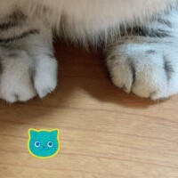 こんばんは