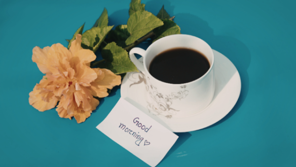 おはようございます