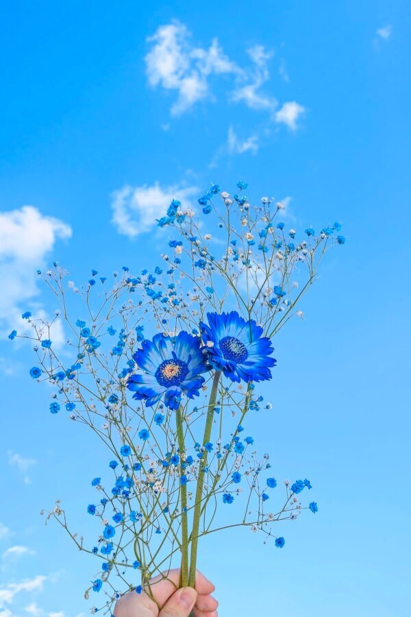 おはようございます