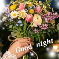 𝑮𝒐𝒐𝒅 𝒏𝒊𝒈𝒉𝒕