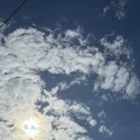 おはようございます🌷