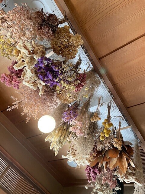 おはようございます🌞