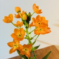 おはようございます♡