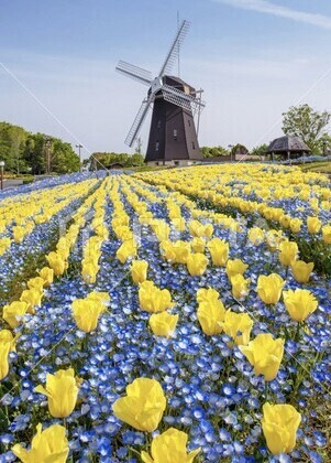 素敵〰️😍💕