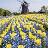 素敵〰️😍💕