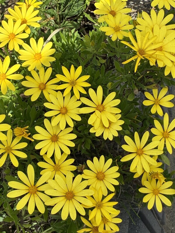 おはようございます💖