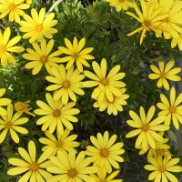 おはようございます💖