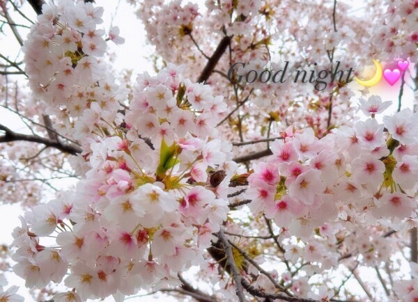 素敵な休日をっ💕