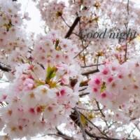 素敵な休日をっ💕