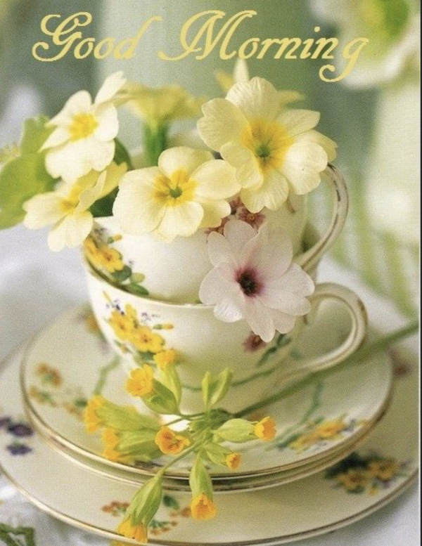 おはようございます☀️