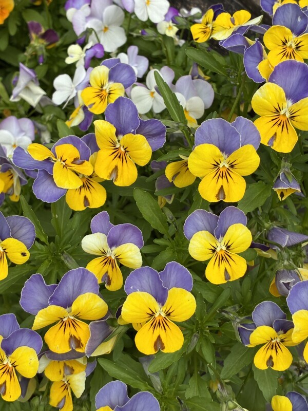 おはようございます💕