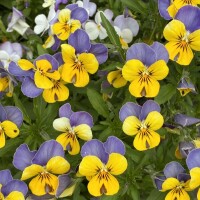 おはようございます💕