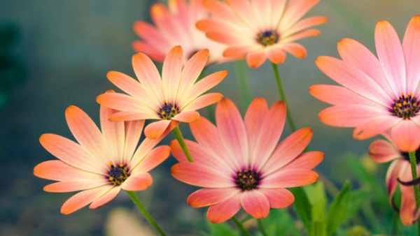 おはようございます☀