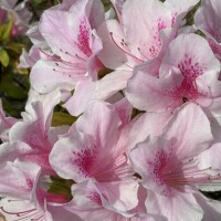 おはようございます😊