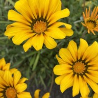 おはようございます💖