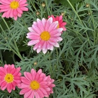 おはようございます💖