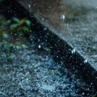 雨宿りに、休憩に