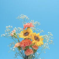 ありがとうー♡♡