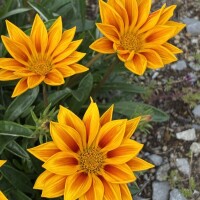 おはようございます💕