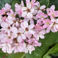 おはようございます☘️