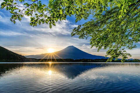 ありがとう