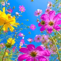 おはようございます