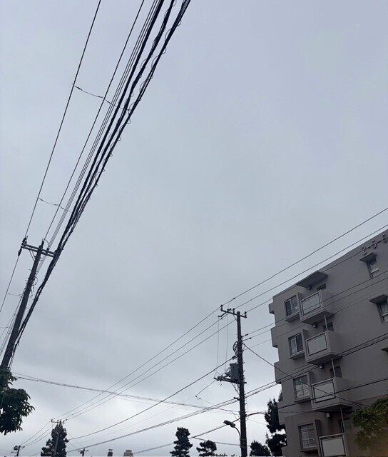 おはようございます