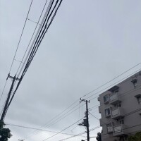 おはようございます