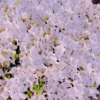 おはようございます💖