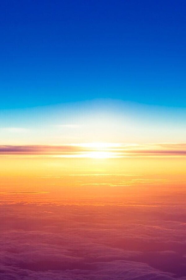 太陽に向かって☀️