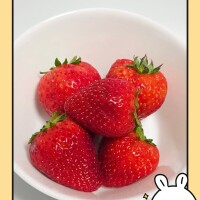 こんにちは☀️