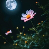 本日もありがとうございました