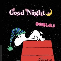 こんばんは🌙