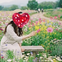 おはようございます🌼*･