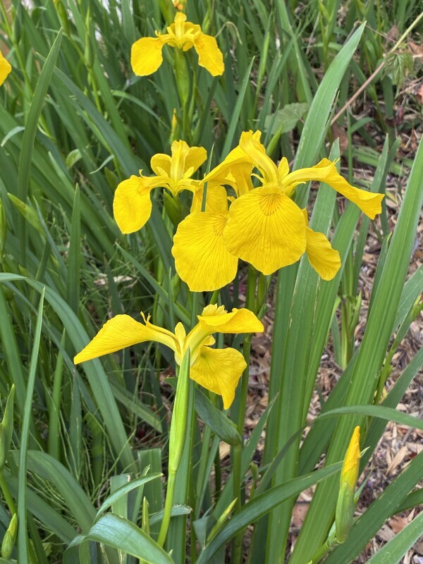 GW最終日⭐︎