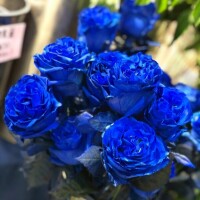 おはようございます♡