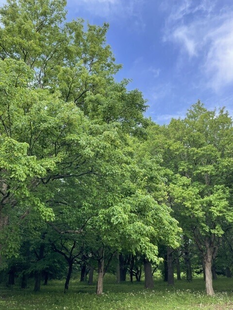 おはようございます🌞