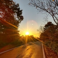 本日もありがとうございました