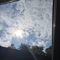 おはようございます