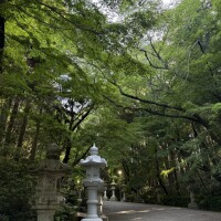 おはようございます
